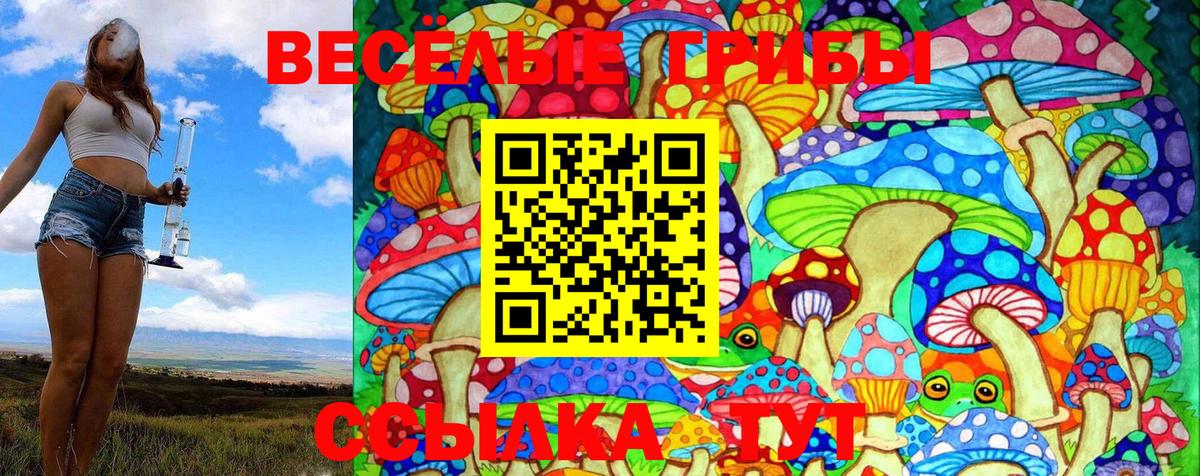 Галлюциногенные грибы Psilocybe Беслан
